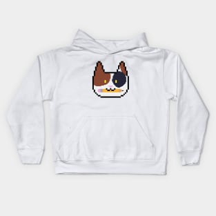 Katnanigans Kids Hoodie